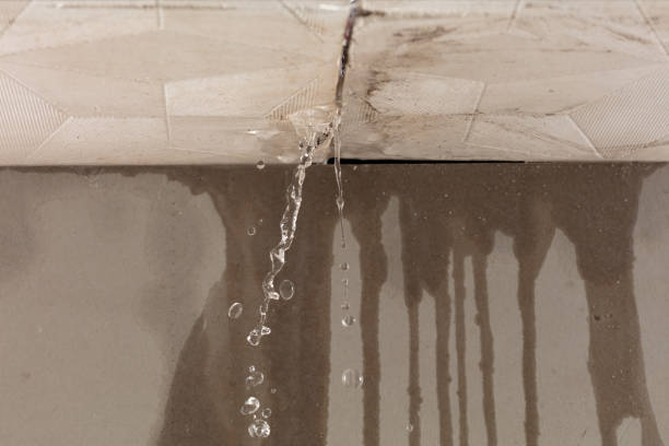 Professional Sewage Cleanup technician working in Birmingham, MI